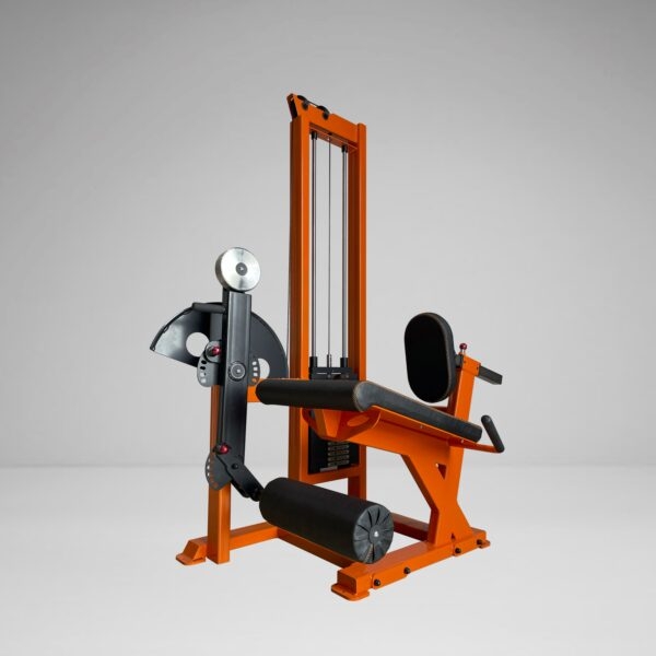 Single Stack Leg Extension