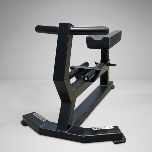 Dumbbell Row Bench