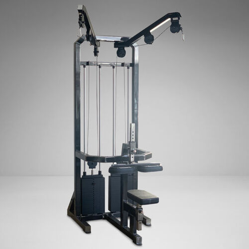 ds-animal-lat-pulldown thumbnail