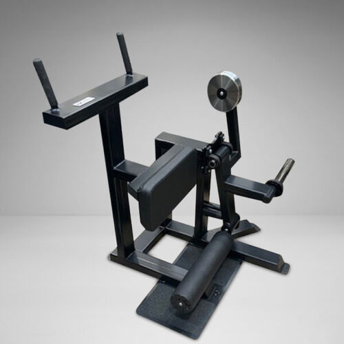 pl-standing-leg-curl thumbnail