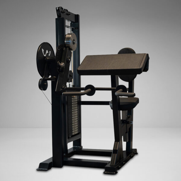 Single Stack Bicep Tricep