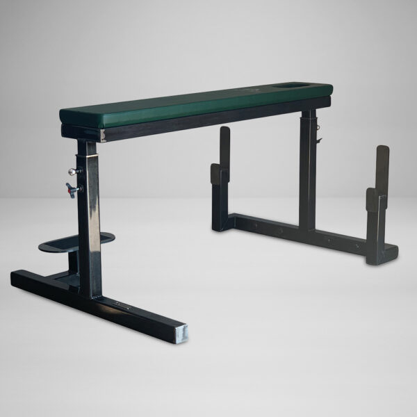 Classic Bench Row with Dumbbell Attachment
