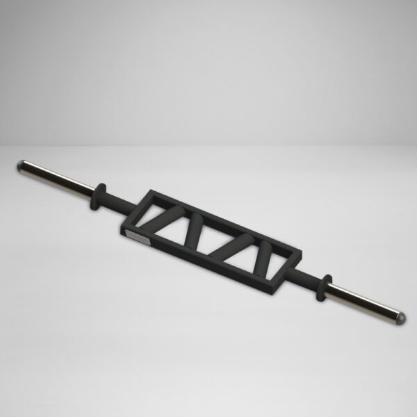 Poliquin Angled Dual Grip Bar