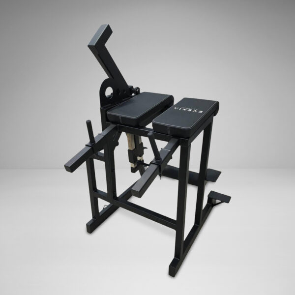 Plate Loaded Deluxe Reverse Hyper Extension
