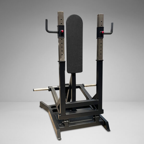 Plate Loaded Standing Chest Press