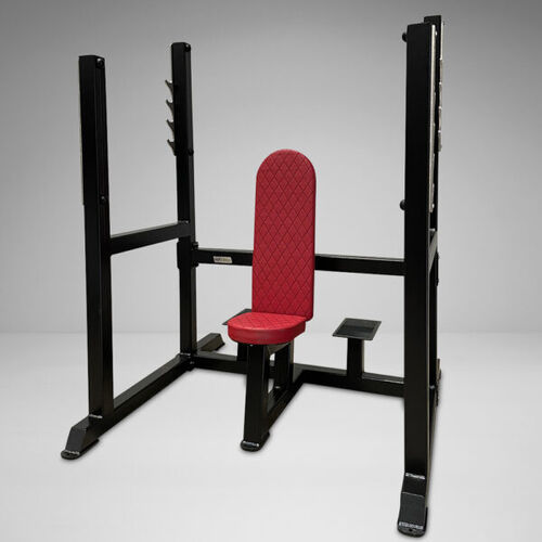 seated-shoulder-press thumbnail