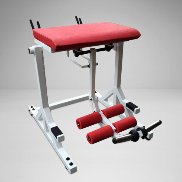 Plate Loaded Westside Reverse Hyper With Bent Pendulum