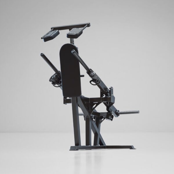 Plate Loaded Standing Tricep Dip