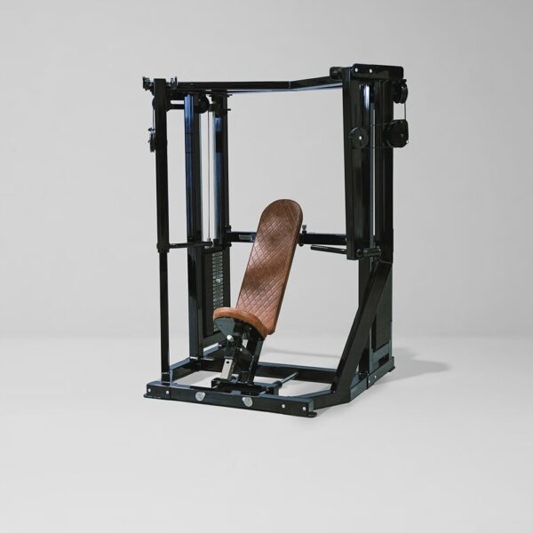 Animal Dual Stack Decline Chest Press