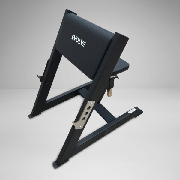 Preacher Curl Bench