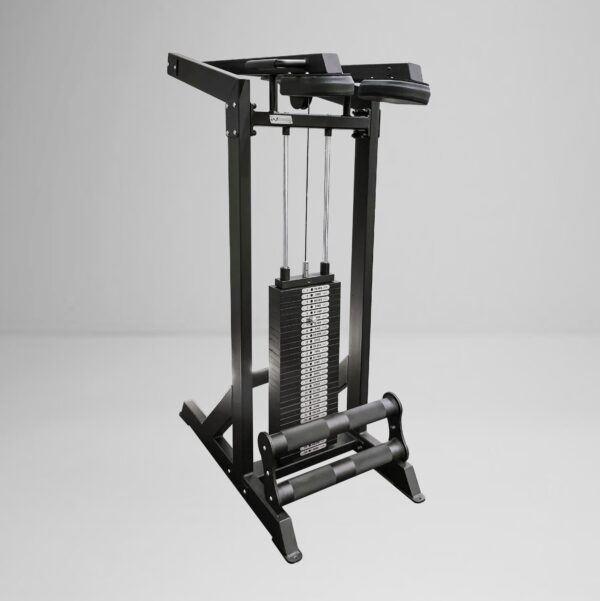 Single Stack Standing Calf Raise